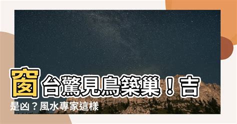 鳥在家築巢風水|【鳥在家裡築巢】鳥兒在家裡築巢預示什麼？風水專家。